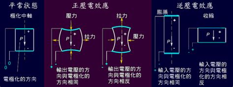 壓電|淺談壓電原理與應用